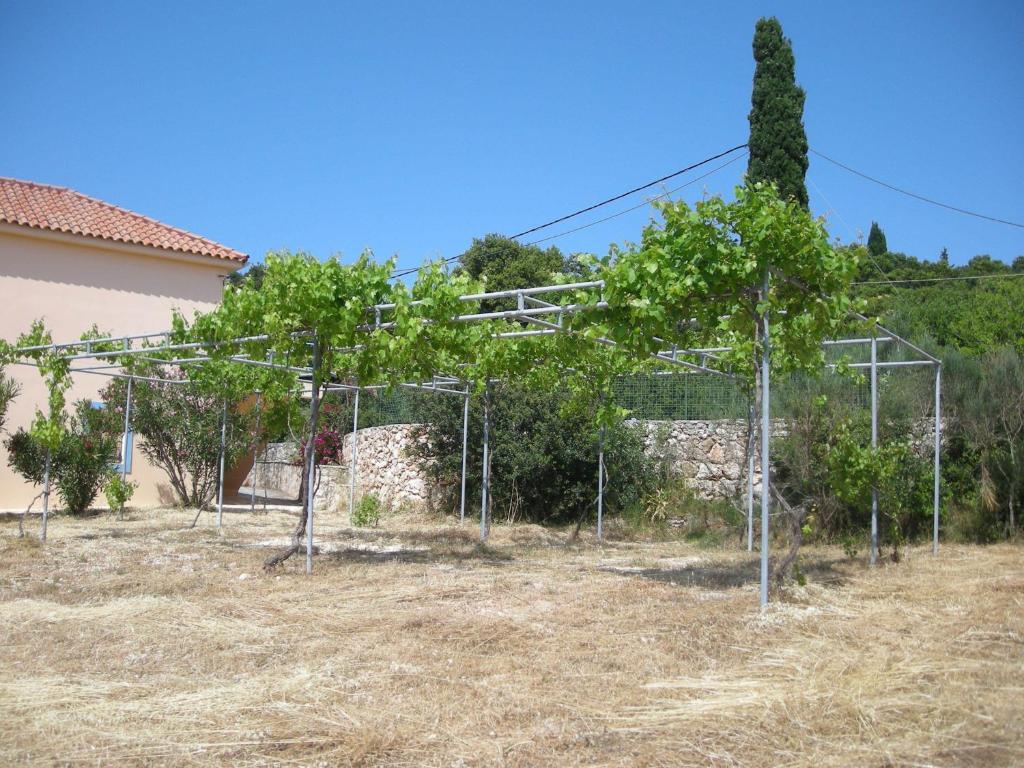 Il Veliero Appartement Fiskardo Buitenkant foto